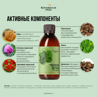 КОМПОЗИЦИЯ ЭКСТРАКТОВ "ЛЁГКИЕ", 100 мл